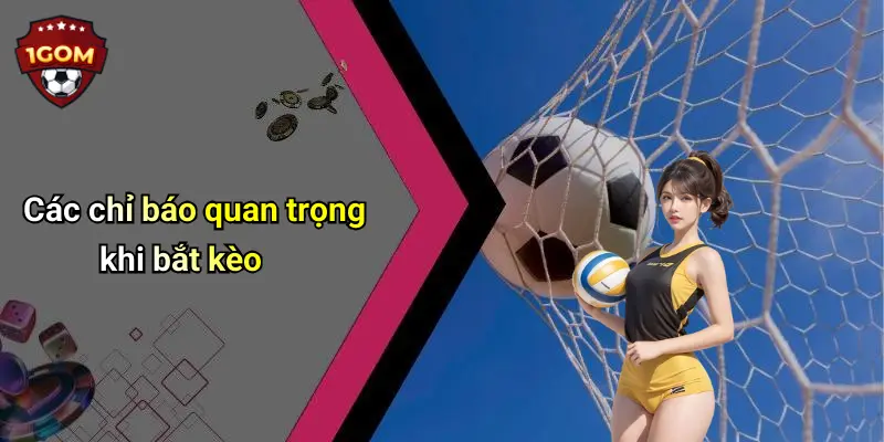 Các chỉ báo quan trọng khi bắt kèo