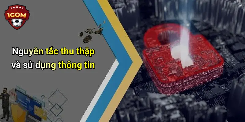 Nguyên tắc thu thập và sử dụng thông tin