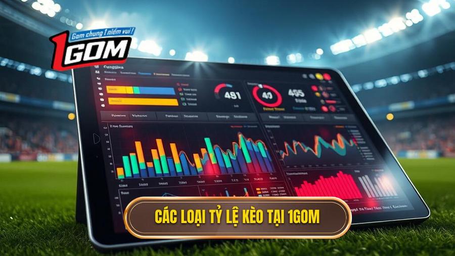 2. Các loại tỷ lệ kèo tại 1GOM